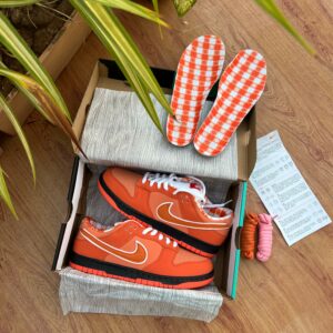 New Shoes