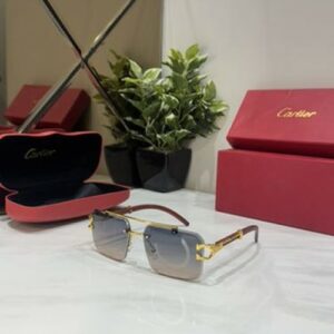 New Collection