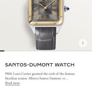 Latest Santos Dumont Large Model
